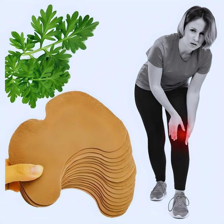 Herbal Knee Plaster Sticker Wormwood Extract Joint Ache Pain Relieving Pack Of (10) BUY 1 GET 1 FREE